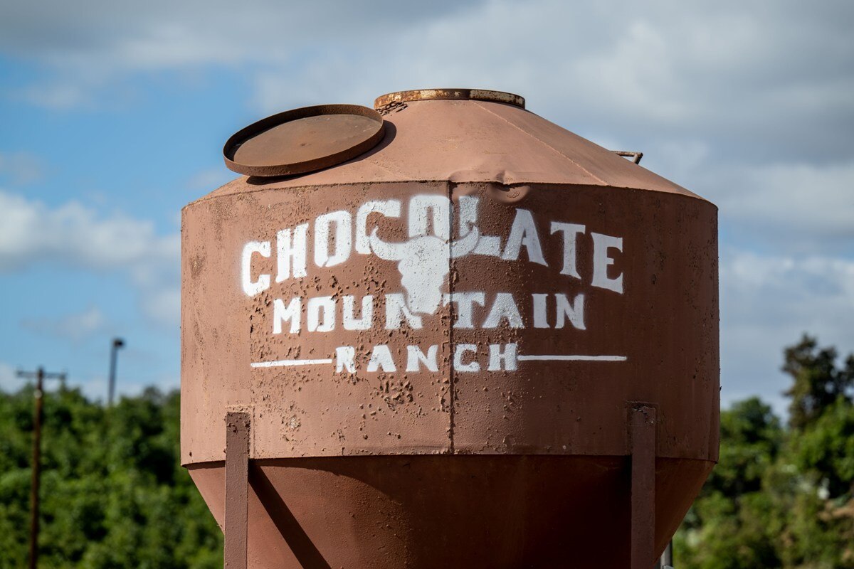 Honda e Johnny Campbell: 30 anni di successi!